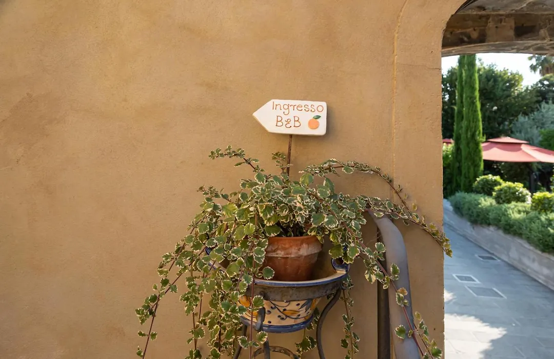 B&B L' Orangerie-1